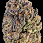 Tres Leches sativa-dominant hybrid with fluffy oversized nugs and milky trichomes available as an Exotic Blooms Oz Deal for Virginia weed delivery