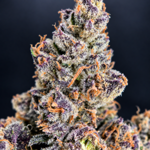 Ultra Violet by G3 Cultivators, a Super Rare indica-dominant purple flower with 32% or more THC, available for cannabis delivery in Washington DC and Northern Virginia.