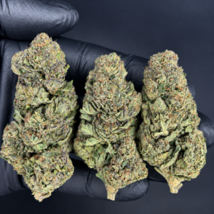 White Grape Gelato indica-dominant flower with dense purple nugs, orange pistils and pale trichomes available as an Exotic Blooms Oz Deal for Virginia weed delivery
