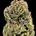 White Grape Gelato indica-dominant flower with dense purple nugs, orange pistils and pale trichomes available as an Exotic Blooms Oz Deal for Virginia weed delivery