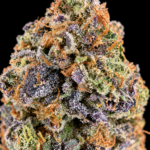 White Jungle Juice by Wizard Trees, a frosty 30–32% THC Super Rare hybrid bred from ADL and Zangria, available in Washington DC and Northern Virginia.