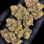White Jungle Juice by Wizard Trees, a frosty 30–32% THC Super Rare hybrid bred from ADL and Zangria, available in Washington DC and Northern Virginia.