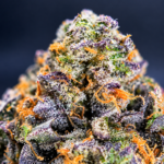 White British Delight by Wizard Trees, a 32% or higher THC Super Rare 80/20 indica hybrid bred from Biscotti and Zangria, available in Washington DC and Northern Virginia.