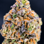 White British Delight by Wizard Trees, a 32% or higher THC Super Rare 80/20 indica hybrid bred from Biscotti and Zangria, available in Washington DC and Northern Virginia.