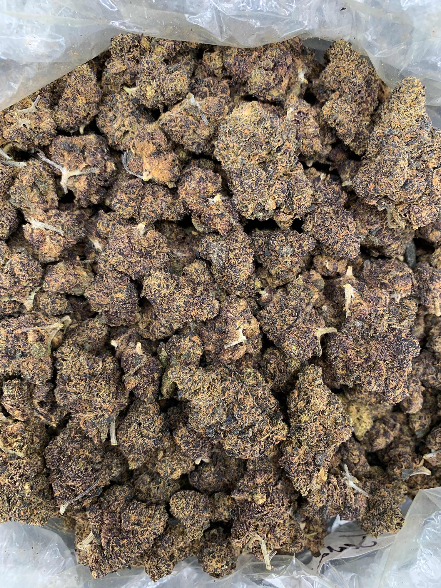 Grape Jelly indica-dominant hybrid flower from OG Glue and Sweet Purple D genetics, featured in the Exotic Blooms Flash Oz Deal collection for Washington DC and Virginia delivery.