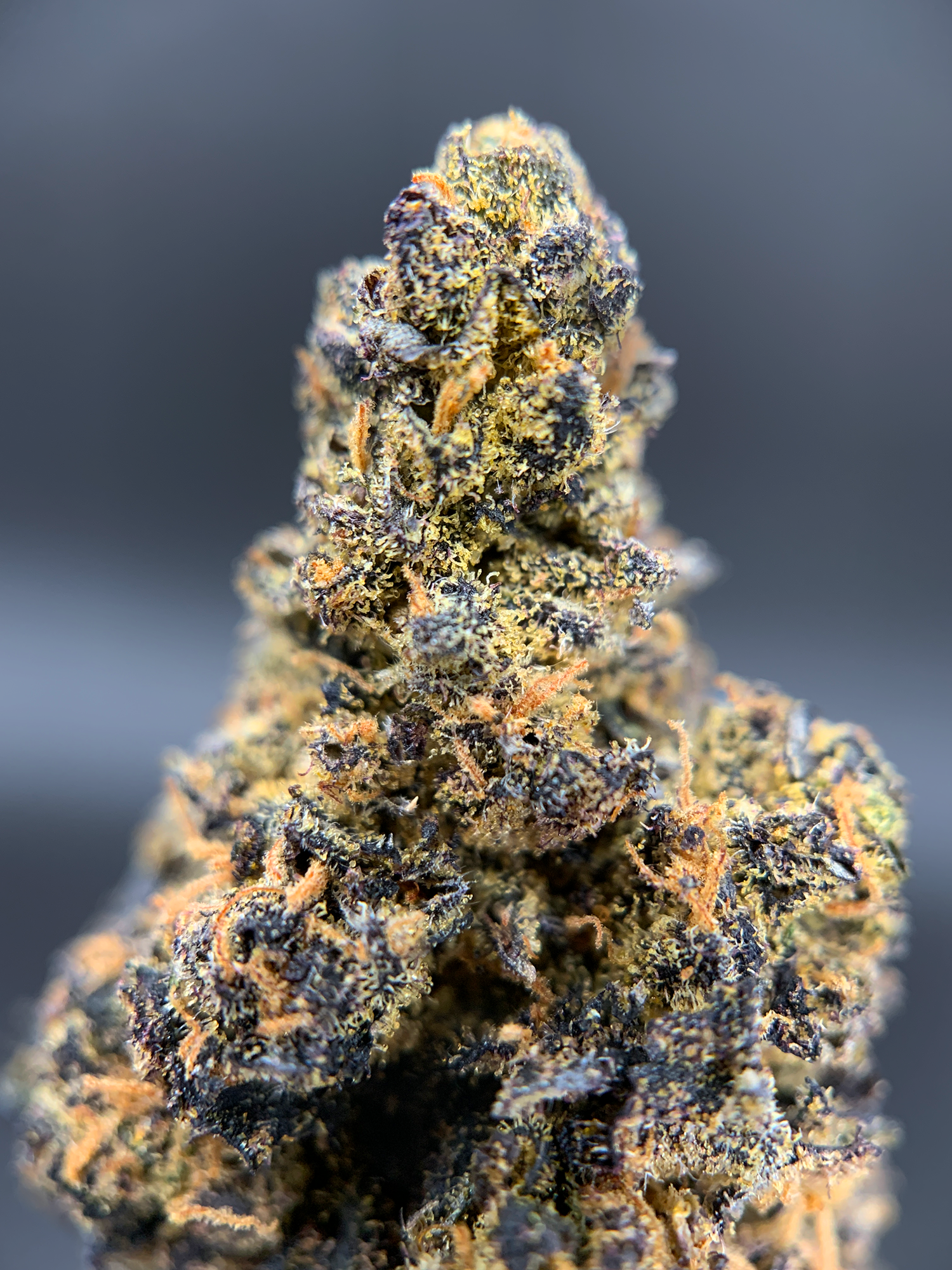 Grape Jelly indica-dominant hybrid flower from OG Glue and Sweet Purple D genetics, featured in the Exotic Blooms Flash Oz Deal collection for Washington DC and Virginia delivery.