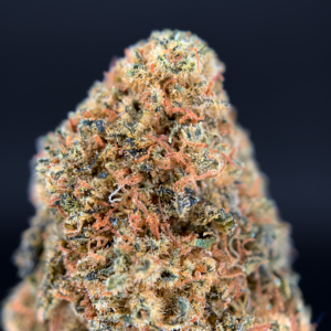 Hawaiian Runtz sativa-dominant flower bred from Hawaiian and Pink Runtz genetics, available in the Exotic Blooms Flash Oz Deal collection for Washington DC and Virginia delivery.