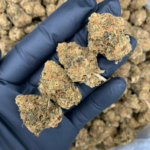 Hawaiian Runtz sativa-dominant flower bred from Hawaiian and Pink Runtz genetics, available in the Exotic Blooms Flash Oz Deal collection for Washington DC and Virginia delivery.