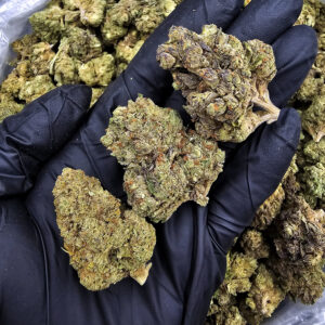 Lucky Charms hybrid cannabis strain, 22–25% THC, Exotic Blooms weed delivery in Washington DC, Virginia, Maryland, and Richmond VA.