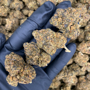Pink Gushers indica-heavy flower bred from Pink Kush and Gushers genetics, featured in the Exotic Blooms Flash Oz Deal collection for Washington DC and Virginia delivery.