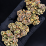 Frosted purple and green Toad’s Venom indica-dominant flower available for DC and Virginia weed delivery
