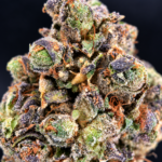 Frosted purple and green Toad’s Venom indica-dominant flower available for DC and Virginia weed delivery