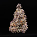 Trop Cherry hybrid cannabis strain, 29–33% THC, sweet cherry and tropical citrus flavor, Exotic Blooms weed delivery in Washington DC, Virginia, Maryland, and Richmond VA