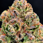 Warheadz sativa cannabis flower Oz Deal available for weed delivery across Northern Virginia
