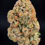 Macro photograph of Wizzy by Wizard Trees cannabis flower showing dense green buds, orange pistils, and frosty trichomes at Exotic Blooms in Washington DC.