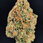 Macro photograph of Wizzy by Wizard Trees cannabis flower showing dense green buds, orange pistils, and frosty trichomes at Exotic Blooms in Washington DC.
