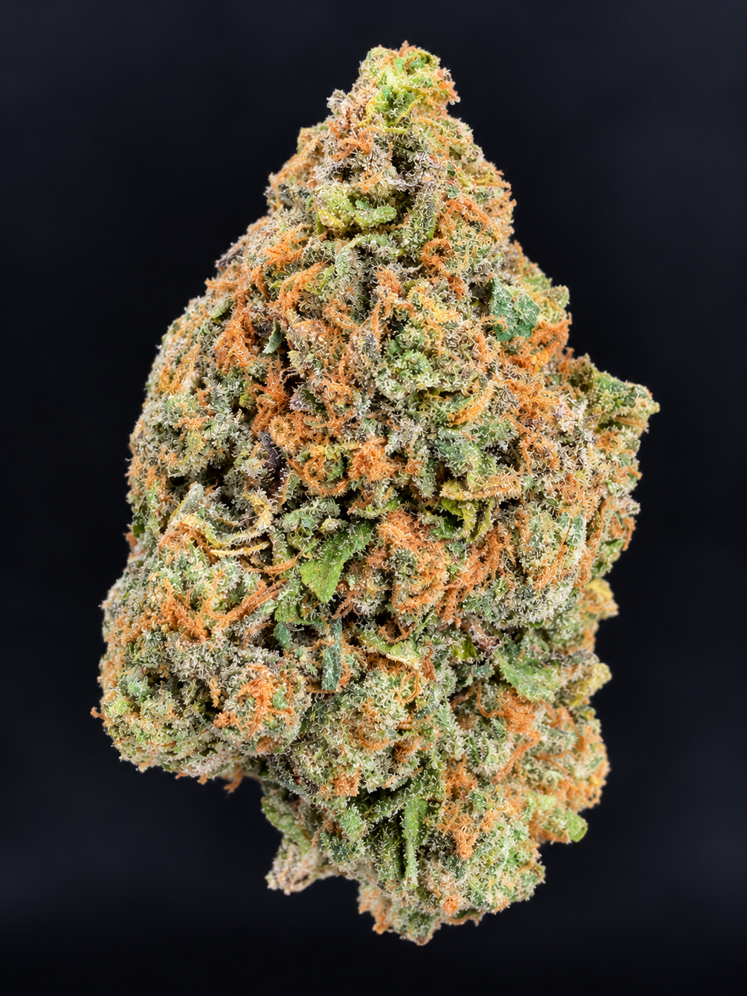 Macro photograph of Wizzy by Wizard Trees cannabis flower showing dense green buds, orange pistils, and frosty trichomes at Exotic Blooms in Washington DC.