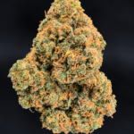 Macro photograph of Wizzy by Wizard Trees cannabis flower showing dense green buds, orange pistils, and frosty trichomes at Exotic Blooms in Washington DC.