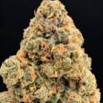 Macro photograph of Wizzy by Wizard Trees cannabis flower showing dense green buds, orange pistils, and frosty trichomes at Exotic Blooms in Washington DC.