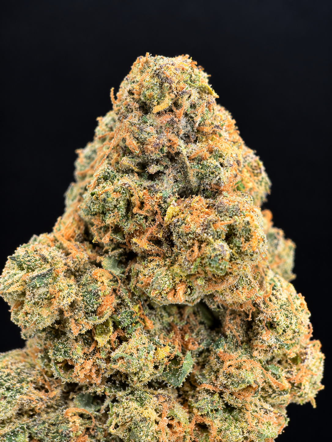 Macro photograph of Wizzy by Wizard Trees cannabis flower showing dense green buds, orange pistils, and frosty trichomes at Exotic Blooms in Washington DC.