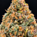 Macro photograph of Wizzy by Wizard Trees cannabis flower showing dense green buds, orange pistils, and frosty trichomes at Exotic Blooms in Washington DC.