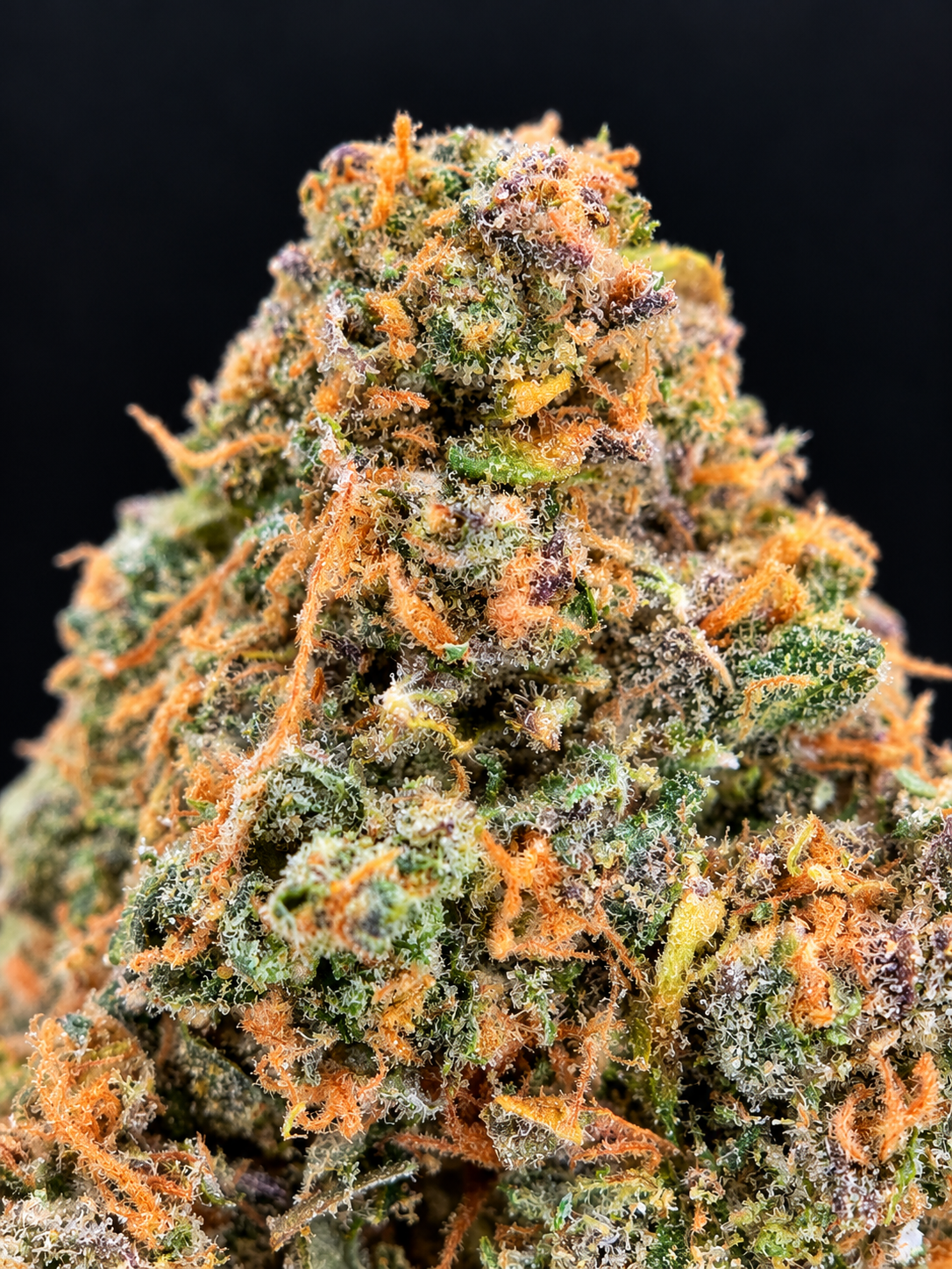 Macro photograph of Wizzy by Wizard Trees cannabis flower showing dense green buds, orange pistils, and frosty trichomes at Exotic Blooms in Washington DC.